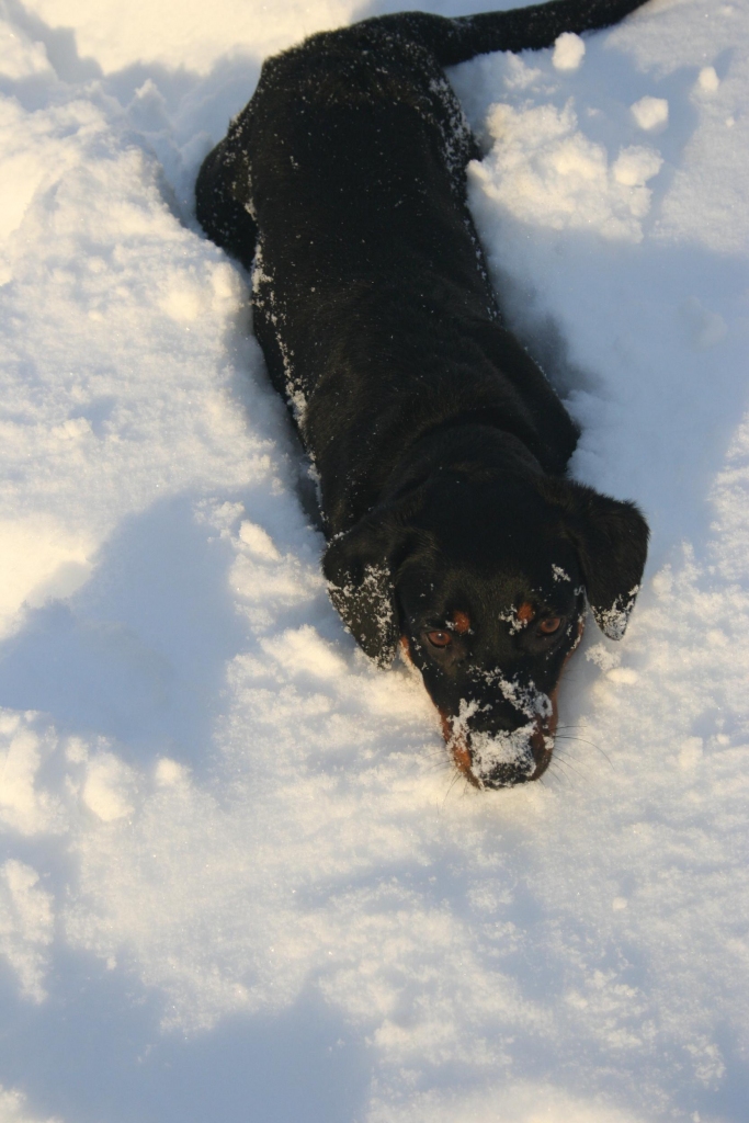 Autors: Līga Kušnere