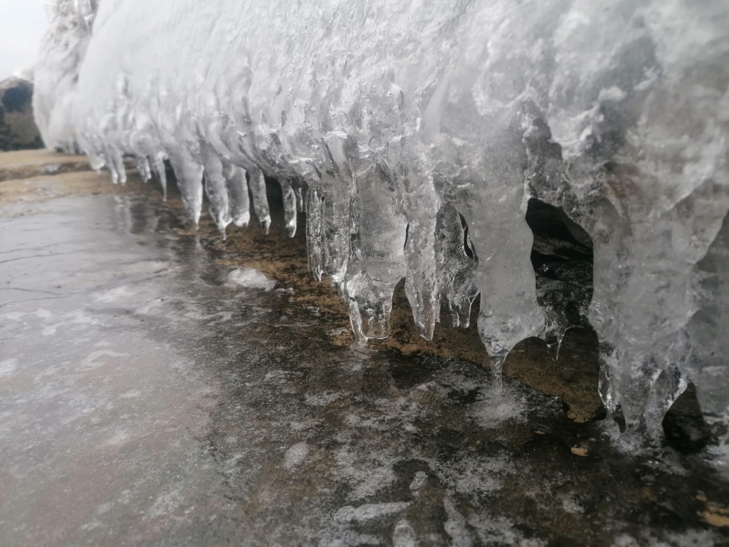 Autors: Ginta Grincēviča