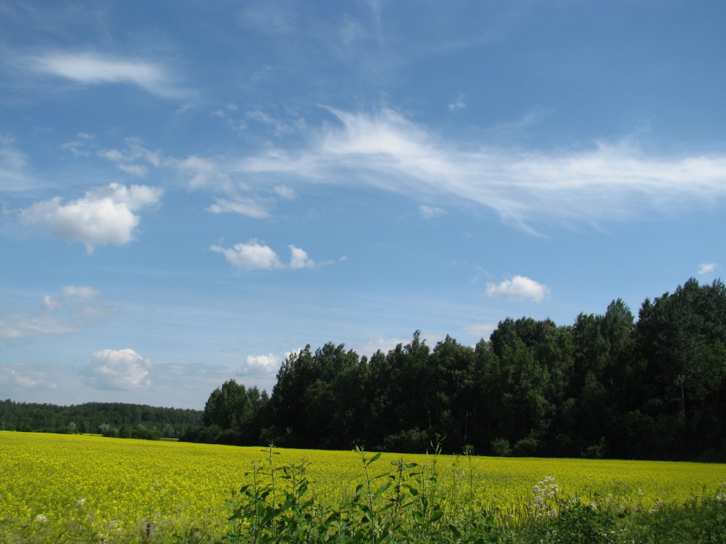 Autors: Solveiga Ivanova