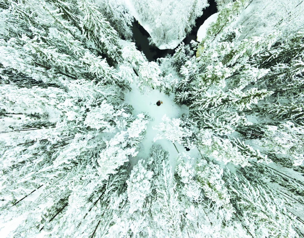 GLEZNAINĀ VIDĒ. Šova norises vietas atlasītas, lai būtu interesanti gan
tiem, kam patīk staigāt, gan tiem, kuri vienkārši vēlas pasēdēt svaigā
gaisā, sarīkot pikniku, iedzert alu.