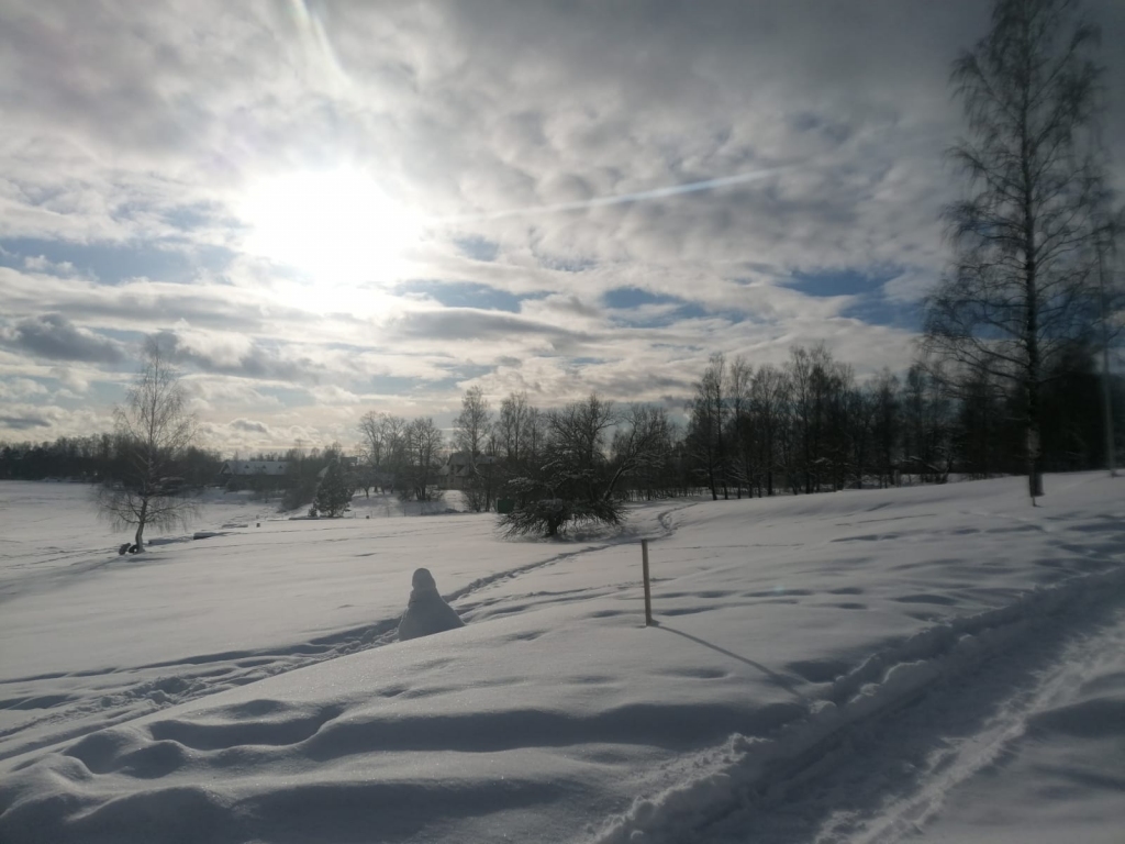 Autors: Ginta Grincēviča