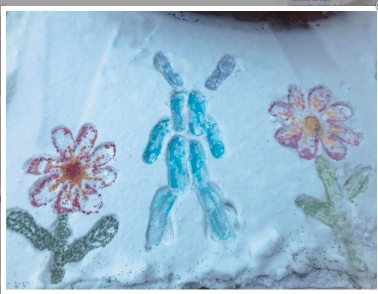 Autors: no bērnu centra “Pepija”