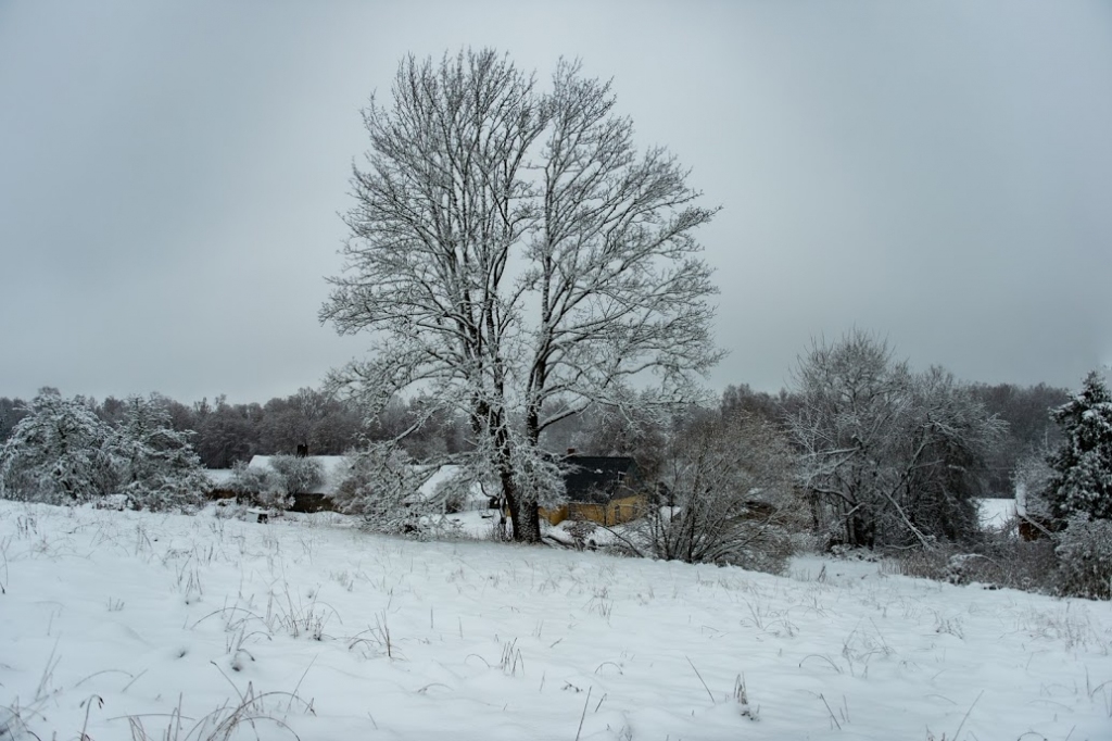 Autors: Imants Kaziļuns