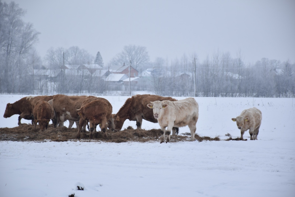 Latvijas lauku konsultāciju un izglītības centra speciālistu galvenais uzdevums 30 gadu laikā  bijis izzināt lauksaimnieku vajadzības, atbalstīt viņus, palīdzēt un konsultēt.