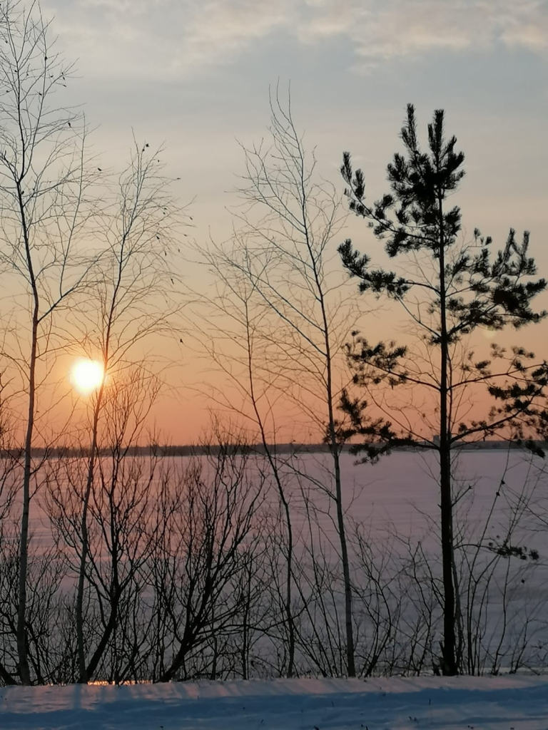 Autors: Signe Sniedze