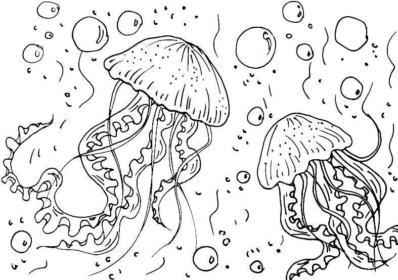 Autors: Aijas K. zīmējums