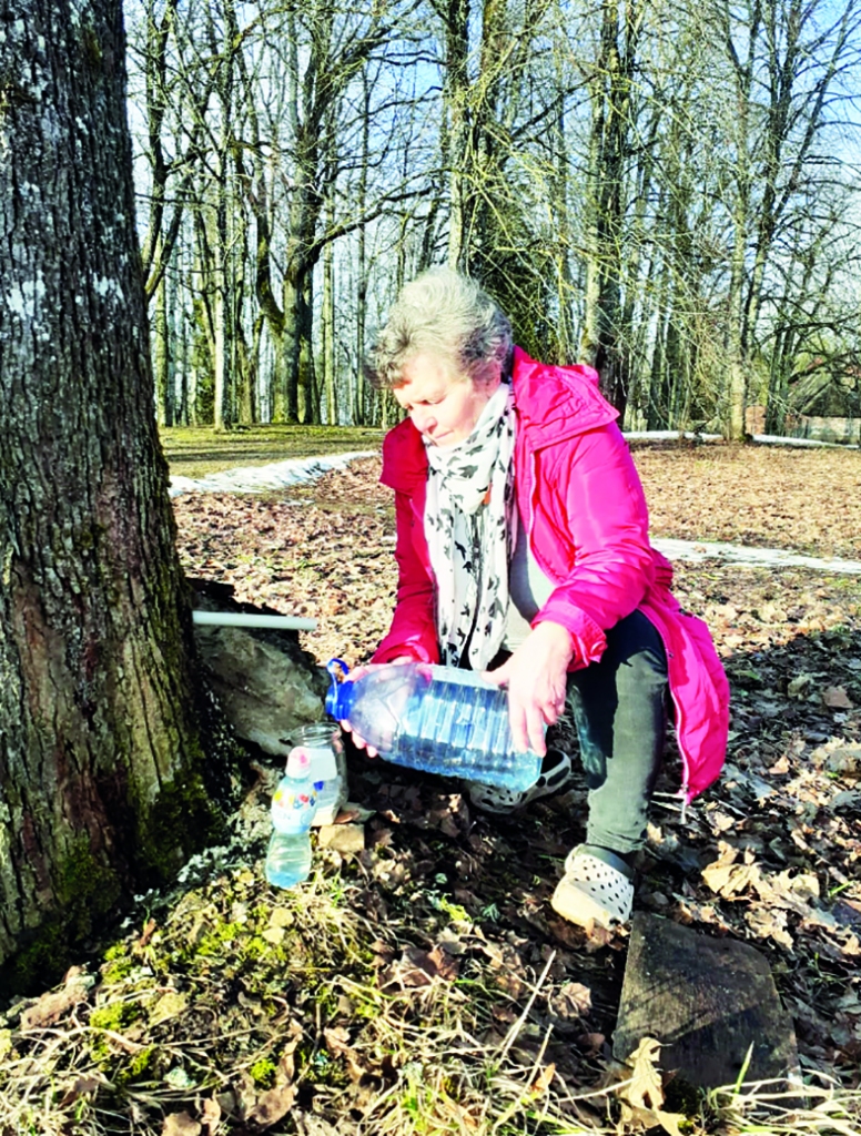 DABAS veselības dzēriens. Lība Zukule to salej nelielos traukos, lai varētu padalīties arī ar citiem.
Autors: no personīgā albuma