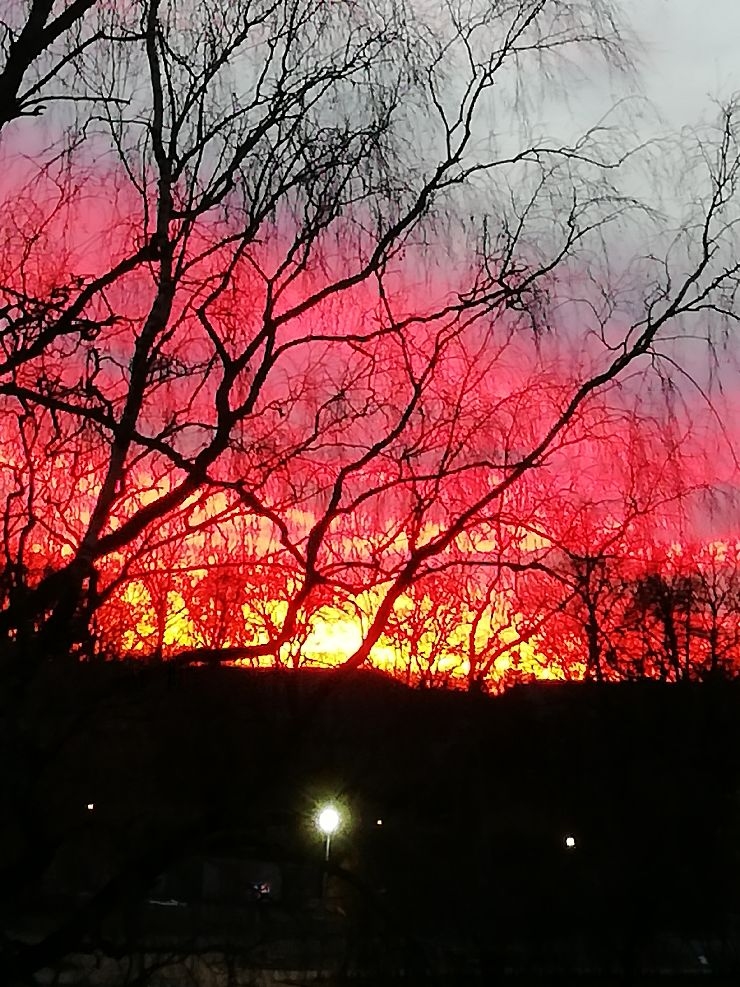 Daba ir visčaklākā māksliniece — katru dienu tā pārsteidz ar jaunu gleznu. Dažkārt tā piedāvā tādus šedevrus,  ka gribas tos atmiņā paturēt ilgāk. Ar mūsdienu tehnoloģijām tas arī izdarāms. 1. marta vakars bija viens no mirkļiem, kad daudzi tvēra fotokameras,  arī koknesiete Lonija Broka, kura jau uzkatāma par profesionālu skaistu skatu mednieci. Par to var pārliecināties arī vietnē “Youtube”, kur tie redzami viņas veidotajos dziesmu  videoklipos.
Autors: Lonija Broka