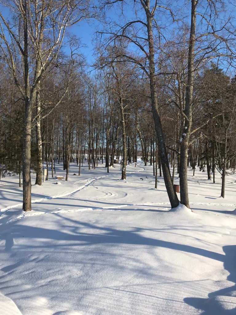 Autors: Ināra Sudare