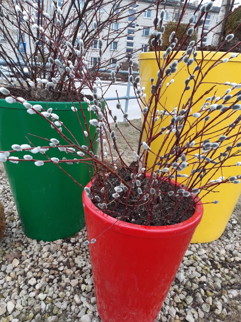 Autors: Ināra Sudare