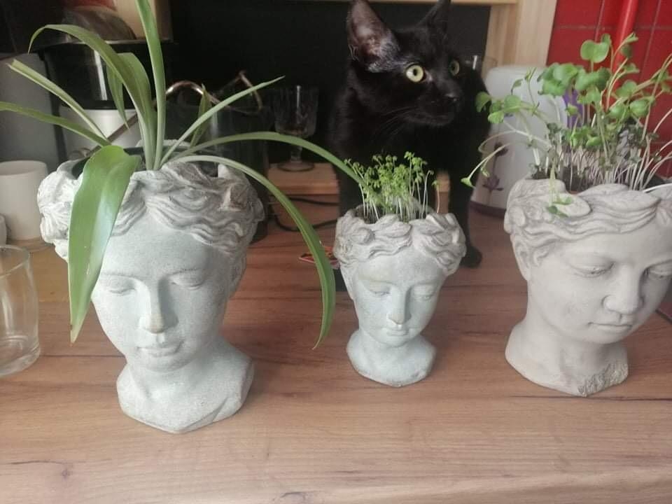 Autors: Ināra Sudare