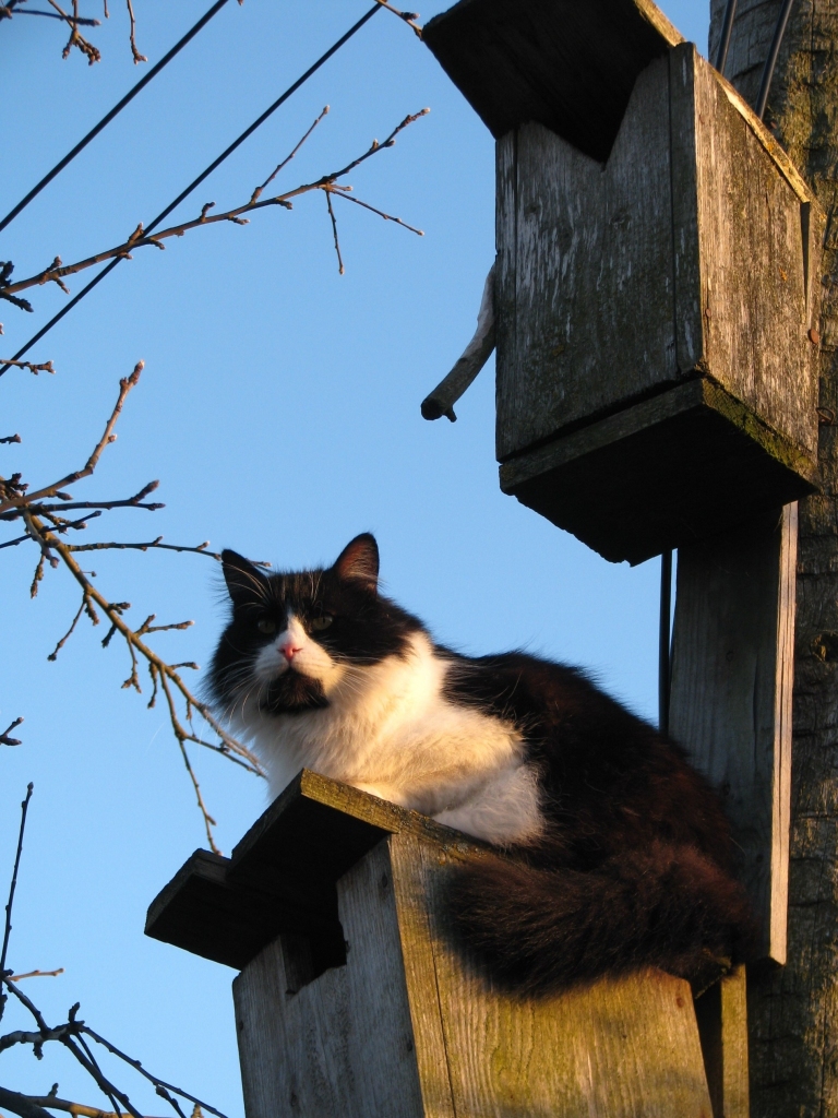 Autors: Solveiga Ivanova