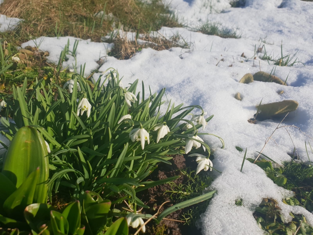 Autors: Silvija Karpoviča