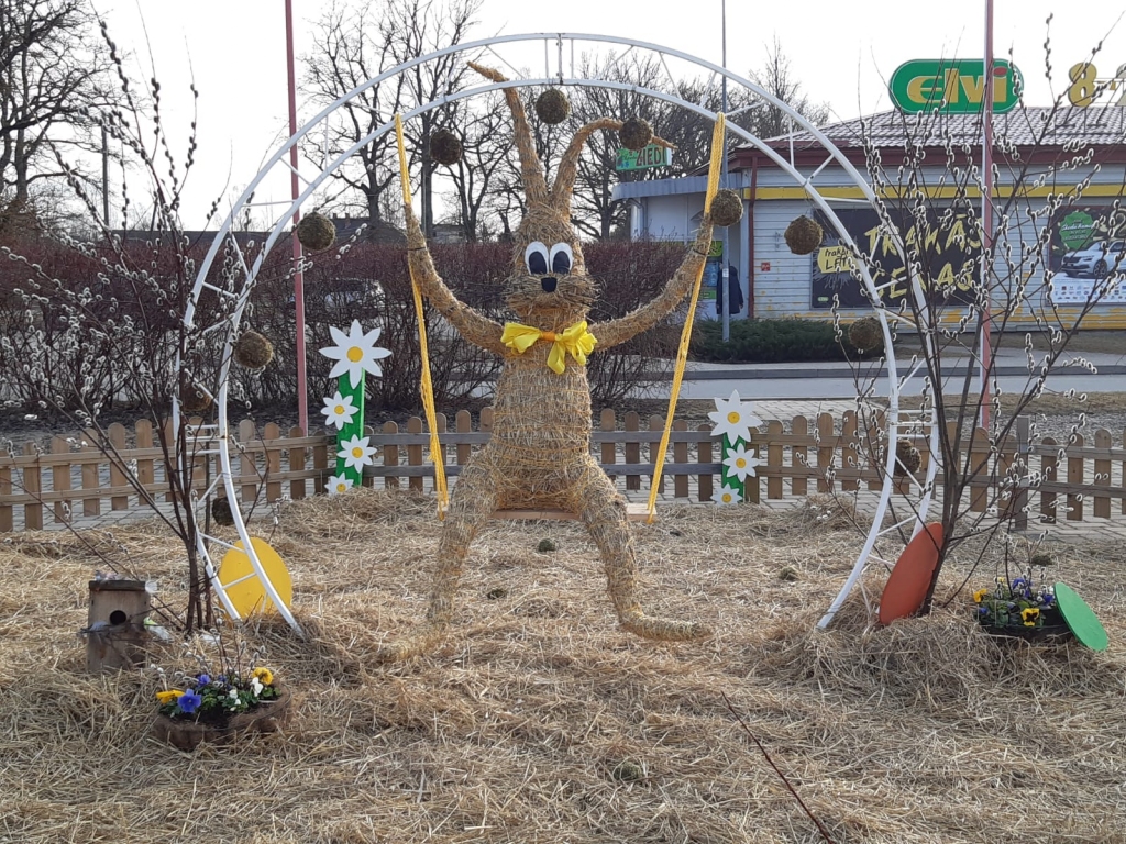 Jaunais Kokneses iemītnieks iešūpo Lieldienas. Kokneses novadā  pirmie rotājumi, kas ievadīja Lieldienu laiku, parādījās reizē ar astronomiskā pavasara iestāšanos. Nu malu malās jau satupuši zaķi, pie skolas dīķa zirga rati piepildīti krāsainām olām.  Kokneses novada domes komunālās nodaļas vadītāja Benita Peciņa teic, ka pagasta izgreznošanai lielākoties izmantotas iepriekšējo gadu dekorācijas,  bet ir arī jaunums. Zaļā tirgus laukumā šūpolēs, kurām apkārt jau saziedējušas atraitnītes,  ērti iekārtojies omulīgs zaķis.  Tā kā ar to zaķi, kaut arī no salmiem gatavots,   neko lāgā nevar zināt, apkārt šūpolēm aplikta arī sētiņa, lai Kokneses jaunais iemītnieks nesadomā aizmukt pie citiem novadniekiem. Jaunās svētku dekorācijas veidoja komunālās nodaļas strādnieki daiļdārznieces Margitas Krūzes vadībā.
Autors: Ināra Sudare