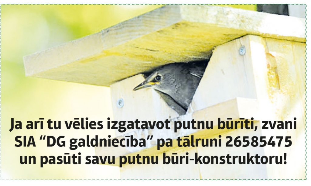 Aluksniesiem.lv raksta attēla aizvietotājs