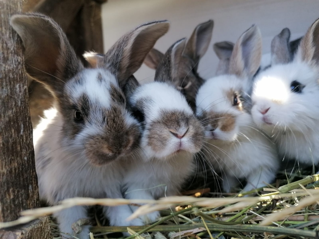 Autors: Ginta Grincēviča