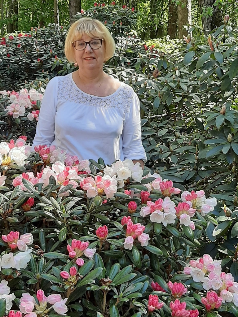 RODODENDRU IELENKUMĀ pērn maijā.
Autors: no personīgā albuma