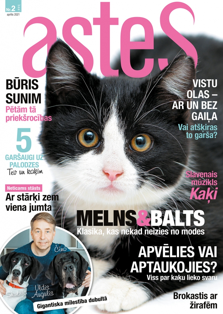 Aluksniesiem.lv raksta attēla aizvietotājs