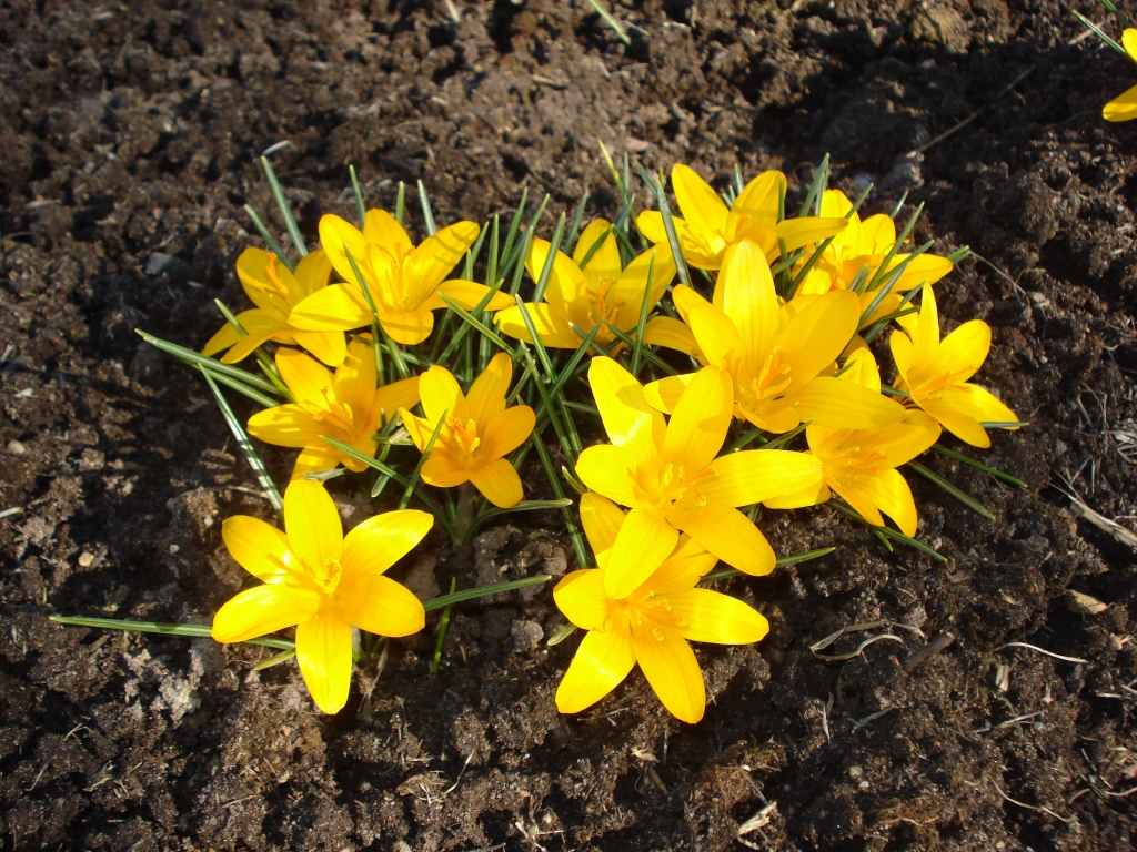 Autors: Silvija Karpoviča