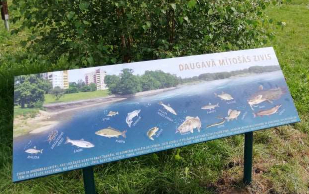 Aizkraukles novadā īstenoti trīs projekti. Attēlā redzamais informatīvais stends par Daugavā mītošajām zivīm ir viens no tiem.