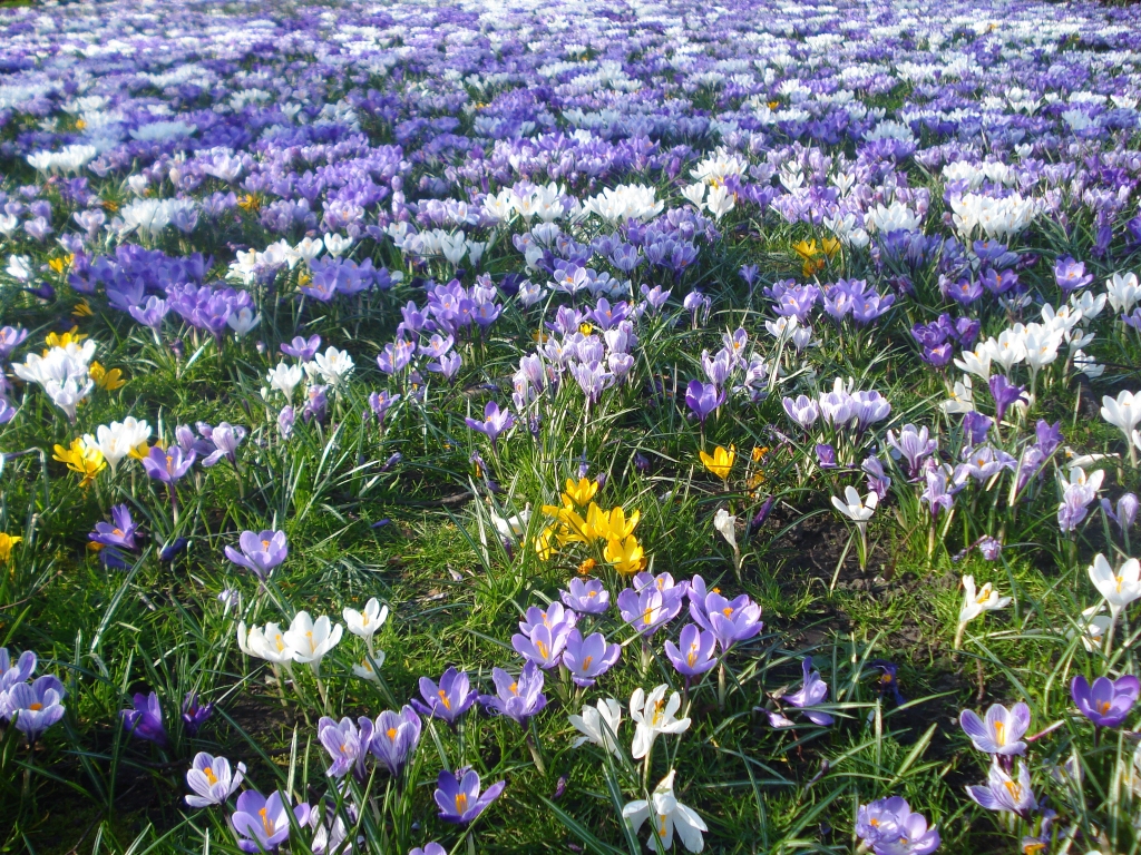 Autors: Silvija Karpoviča