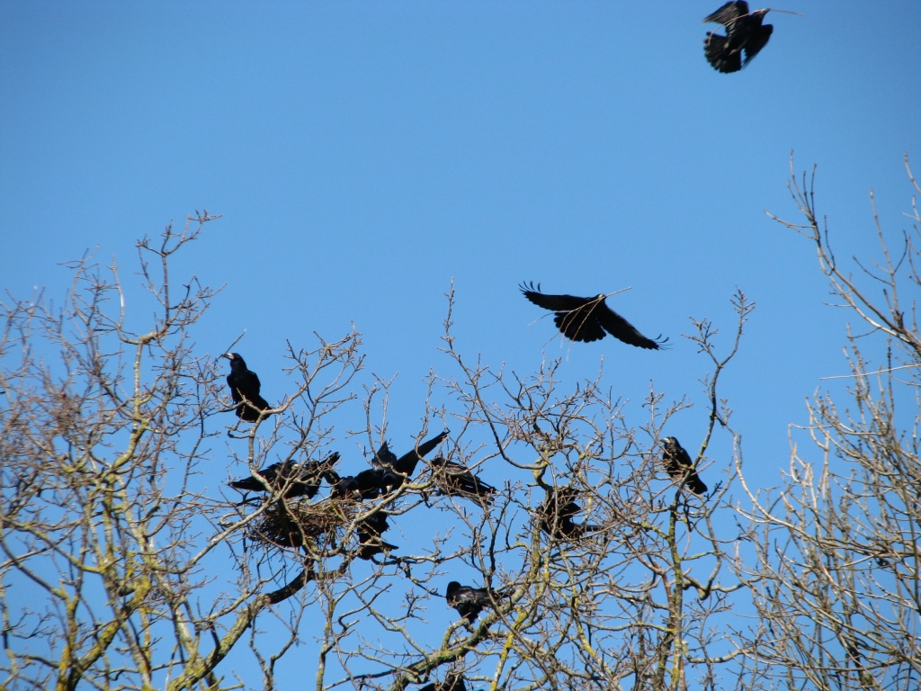 Autors: Solveiga Ivanova