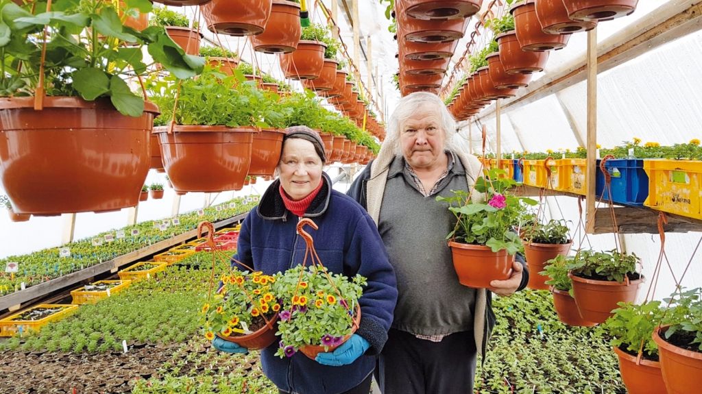 Čaklie dārznieki. Jeļena un Pēteris Korsaki no “Krustakroga” dārzniecības Neretas apkaimē jau pircējiem piedāvā gan puķu, gan gurķu un tomātu stādus.