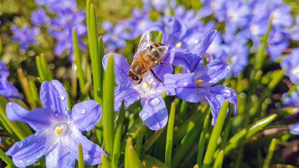 Autors: Imants Kaziļuns