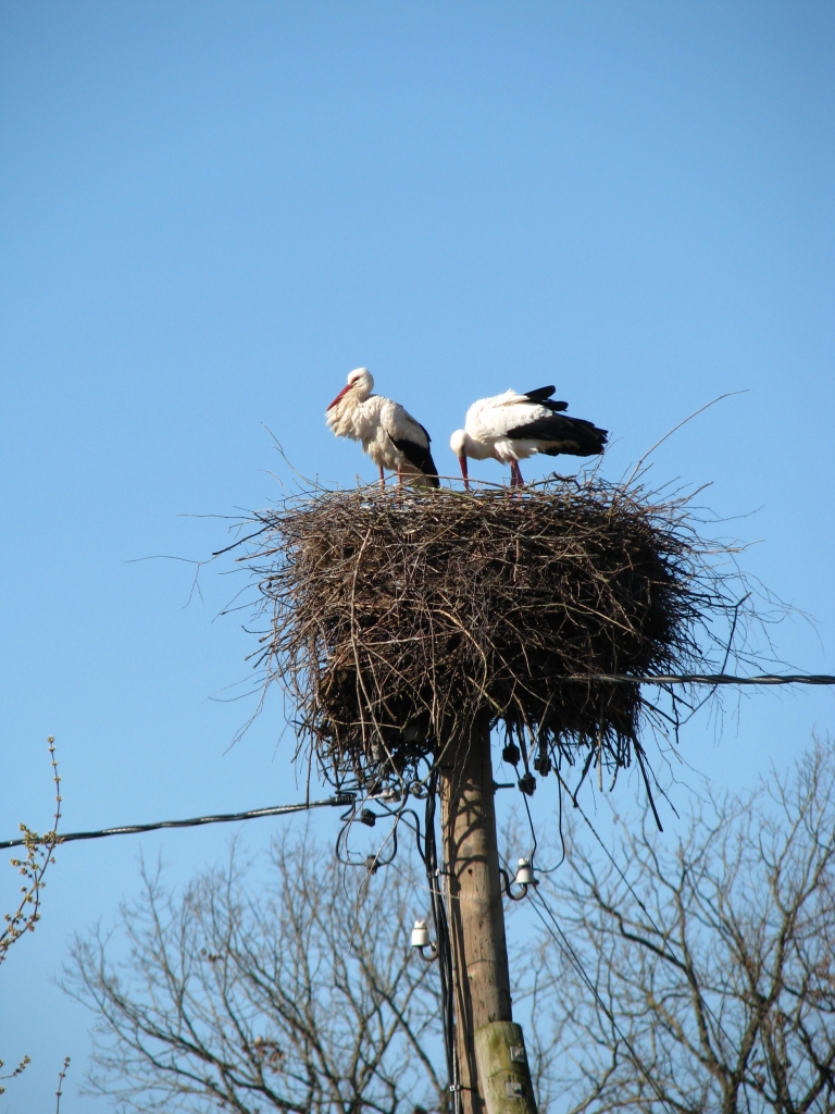 Autors: Solveiga Ivanova