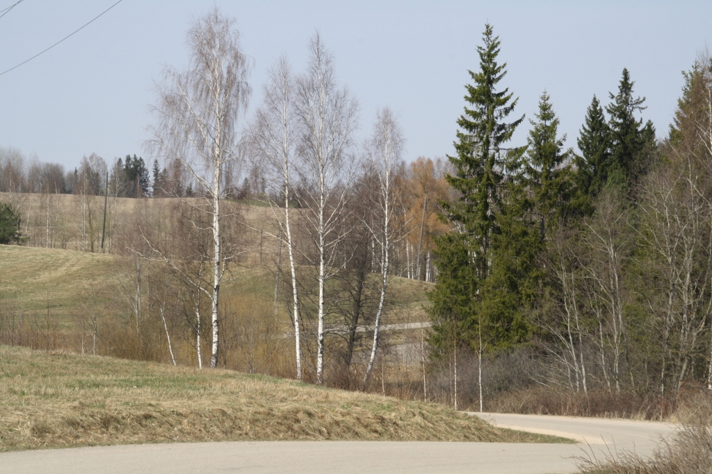 Autors: Inārs Dreijers