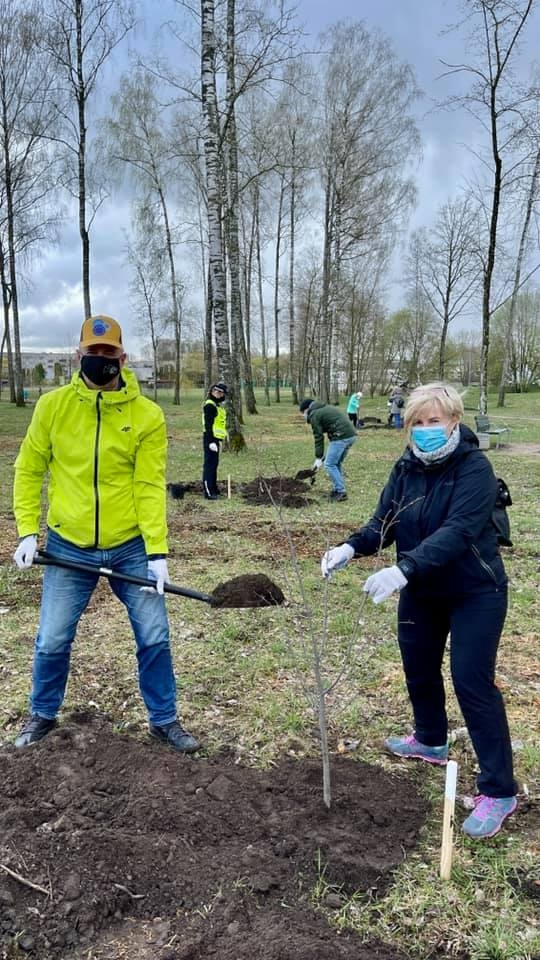Aizkraukles birztalā Lielās talkas laikā pašvaldības darbinieki un Aizkraukles novada vidusskolas EKO padomes jaunieši turpināja izcirsto veco un bīstamo bērzu vietā stādīt jaunus kokus. Iestādīti 40 dažādu sugu koki — ievas, liepas, ozoli un citi. Tie iegādāti par projekta līdzekļiem. Izstrādāta koncepcija, kur kādu šķirnes koku stādīt, domājot par nākotnes kopējo ainavu. Pirmos 15 kokus iestādīja rudenī, trešajā — pēdējā — stādīšanas reizē plānots birzi papildināt ar vēl 10 līdz 20 jaunajiem kokiem.
Autors: Leons Līdums