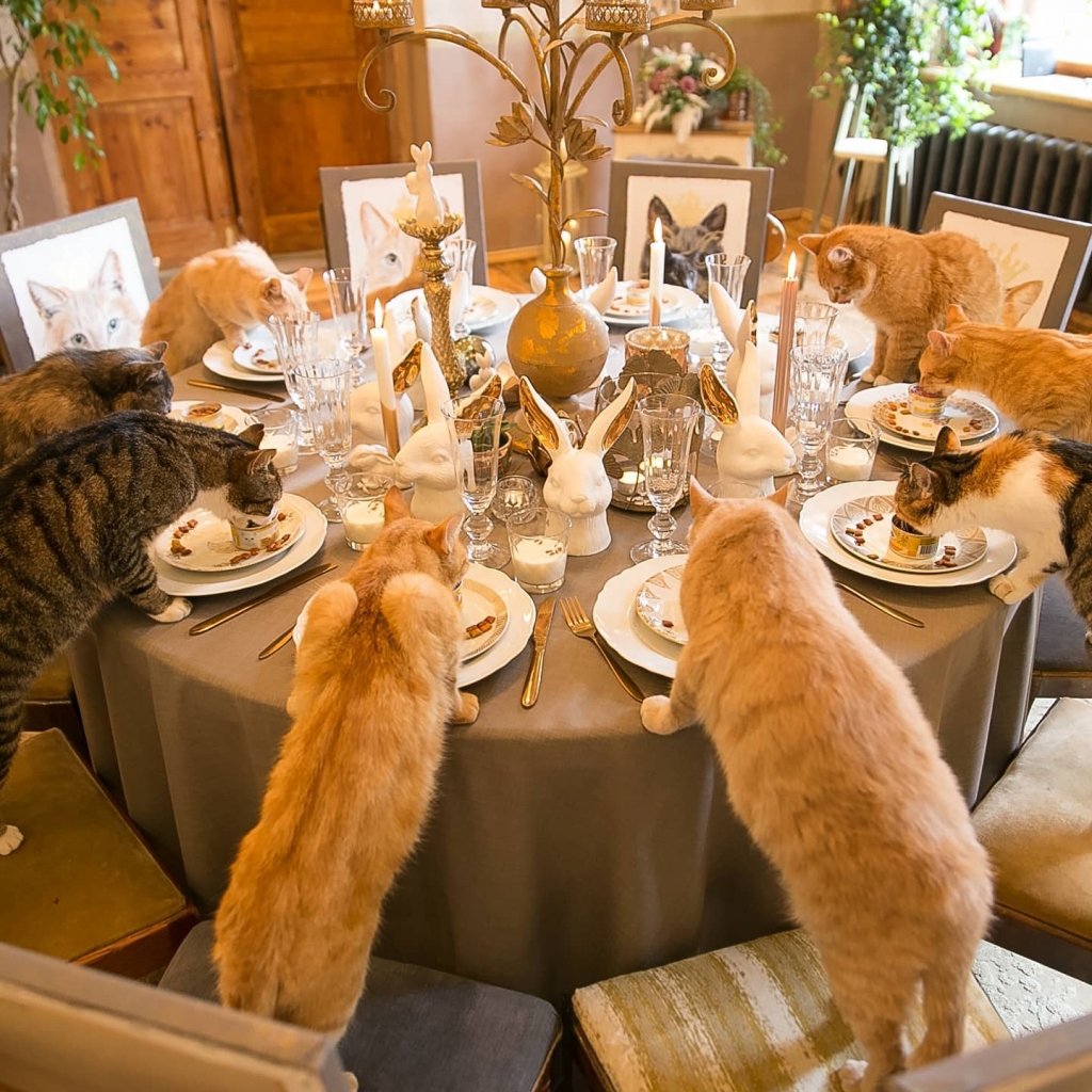 LIELDIENU MALTĪTE.  Svētkos “lieliskais desmitnieks” pulcējas  pie apaļā galda.
Autors: no personīgā albuma