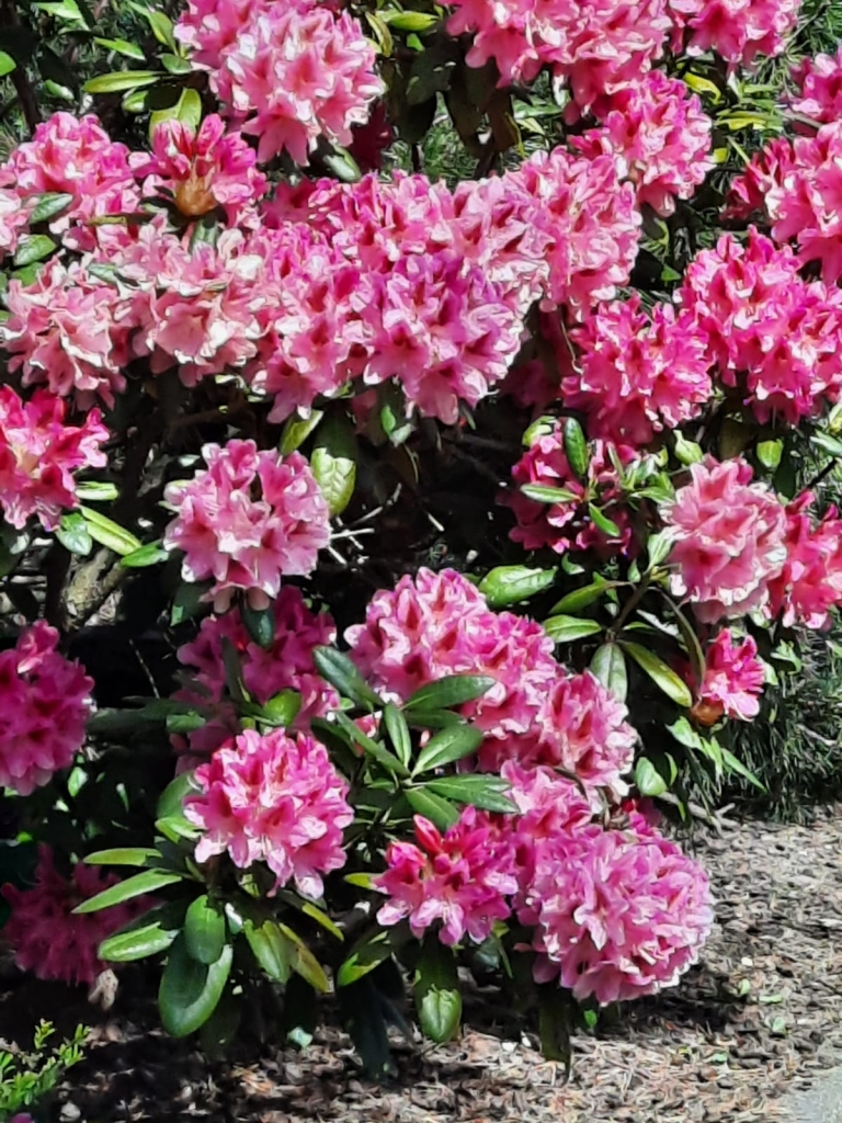 Autors: Marita Vilcāne