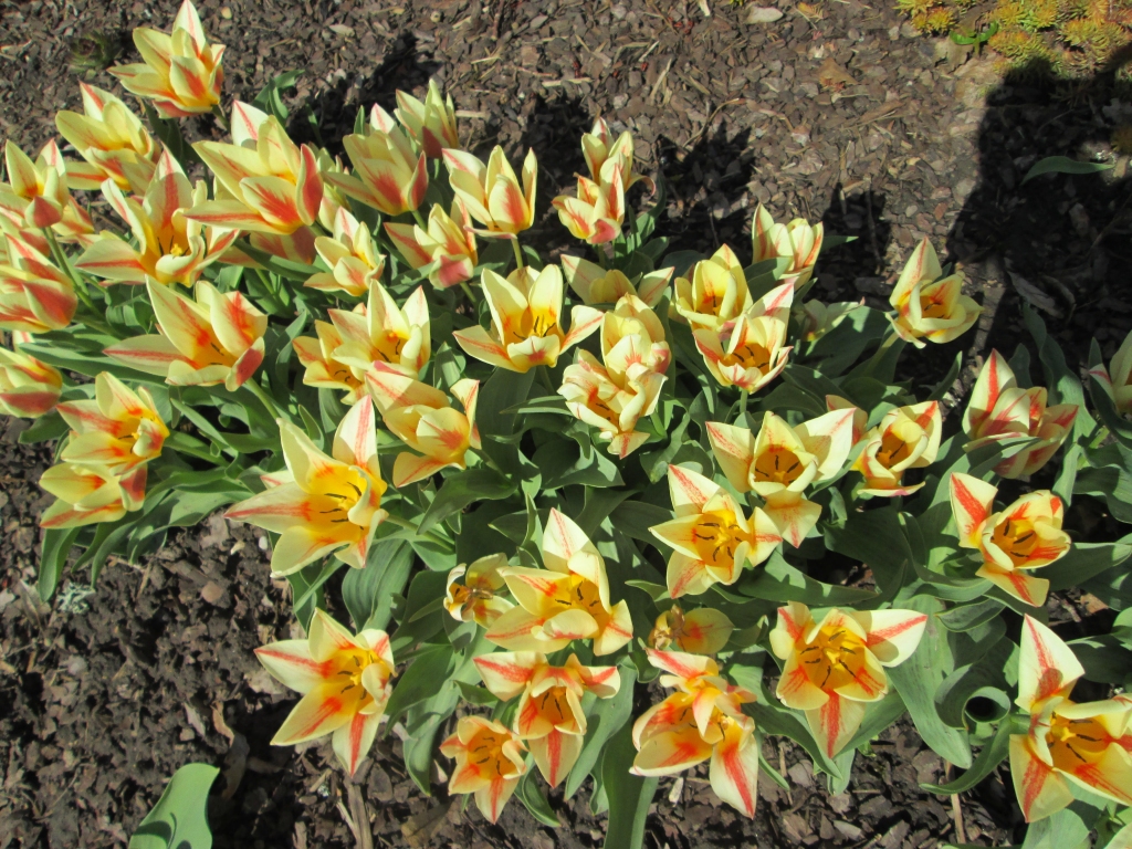 Autors: Ināra Sudare