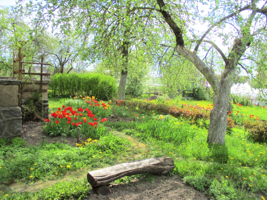 Autors: Agnese Krastenberga