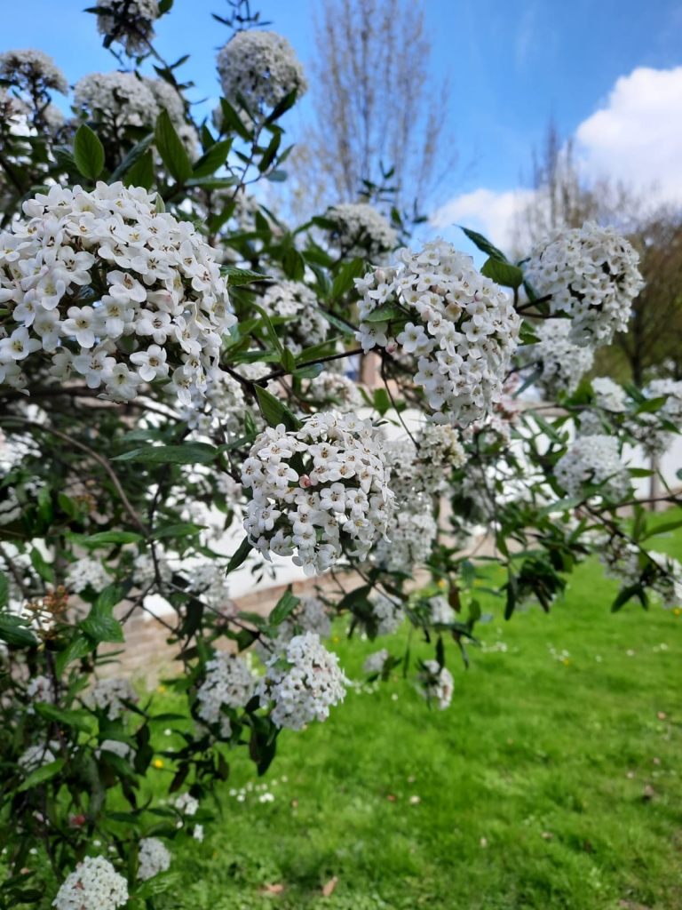 Autors: Marita Vilcāne