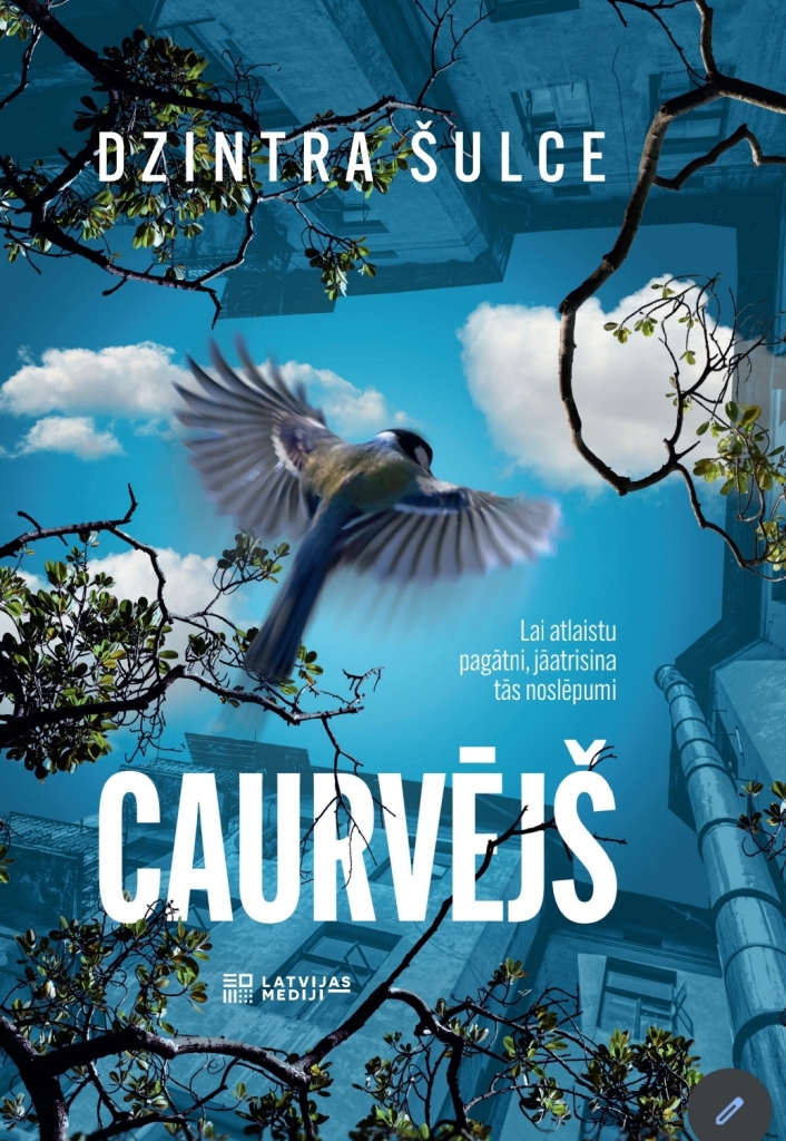 Aluksniesiem.lv raksta attēla aizvietotājs