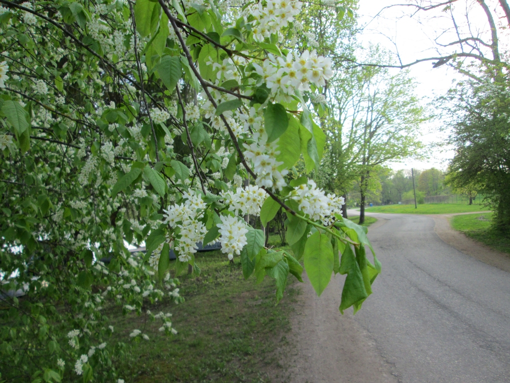 Autors: Ināra Sudare