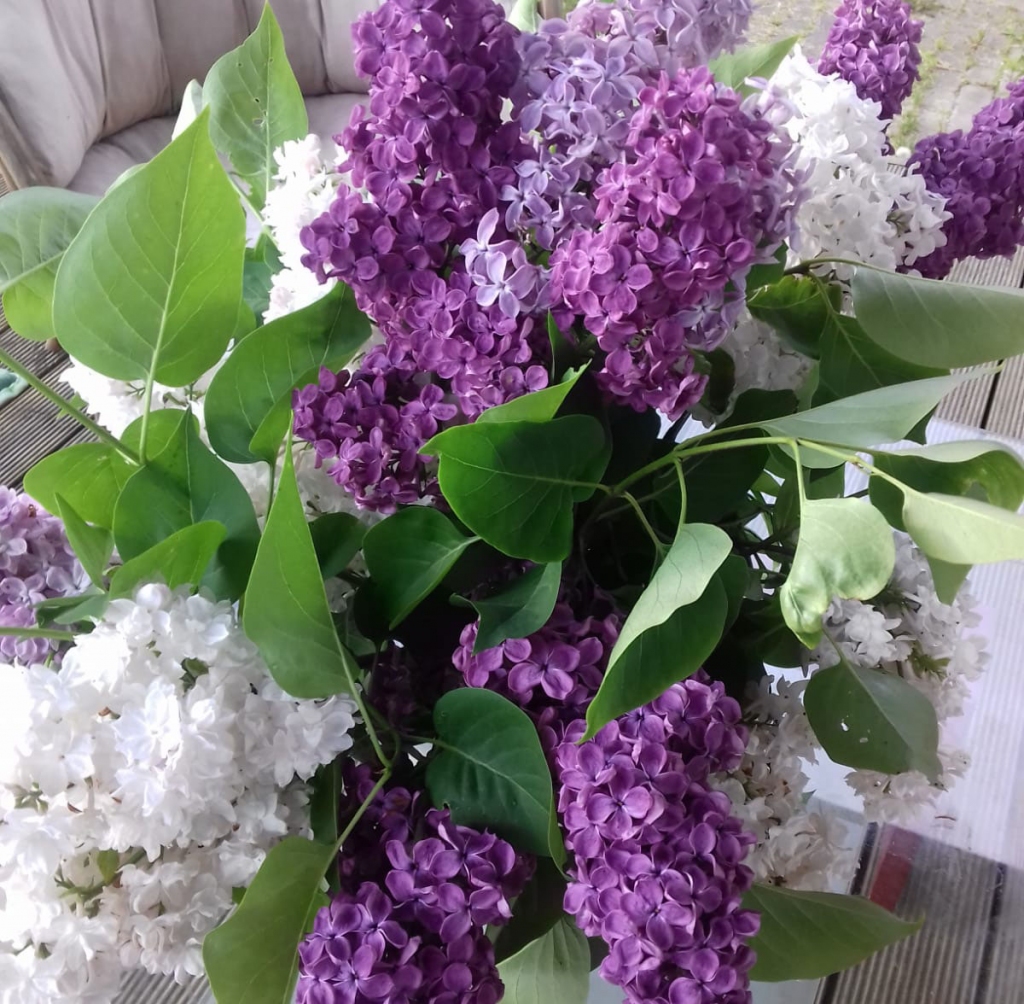 Autors: Silvija Karpoviča