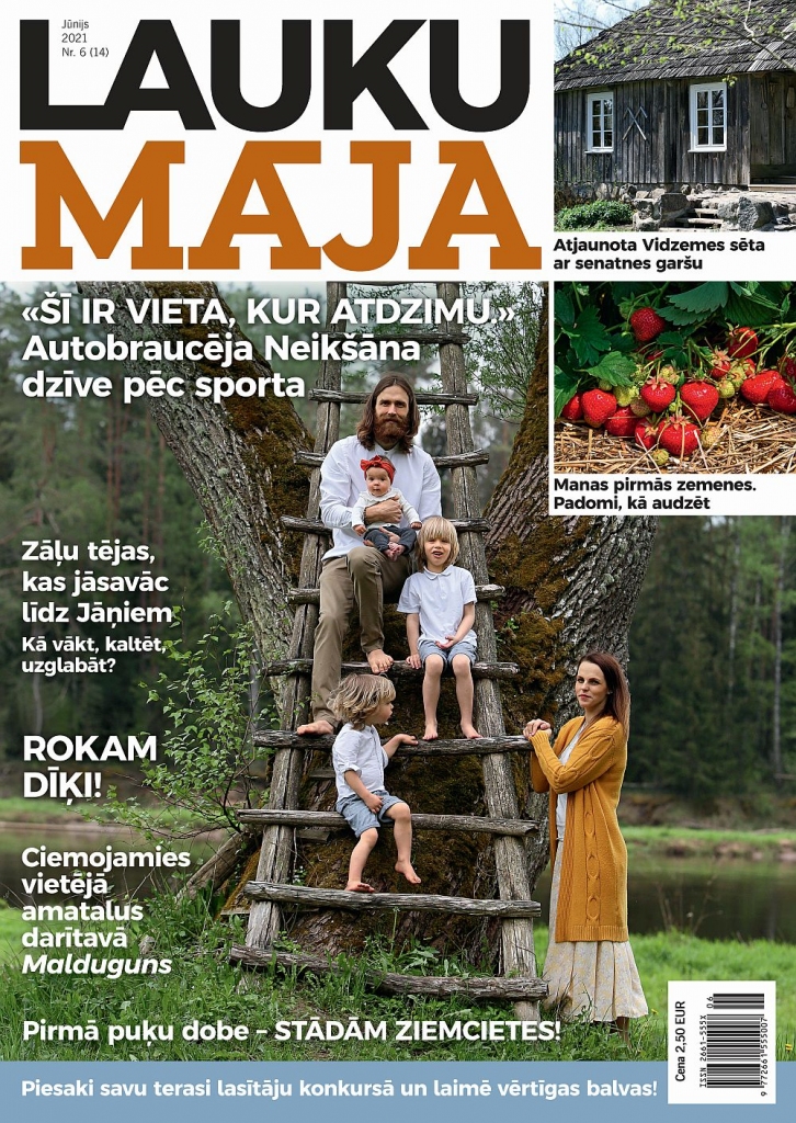 Aluksniesiem.lv raksta attēla aizvietotājs