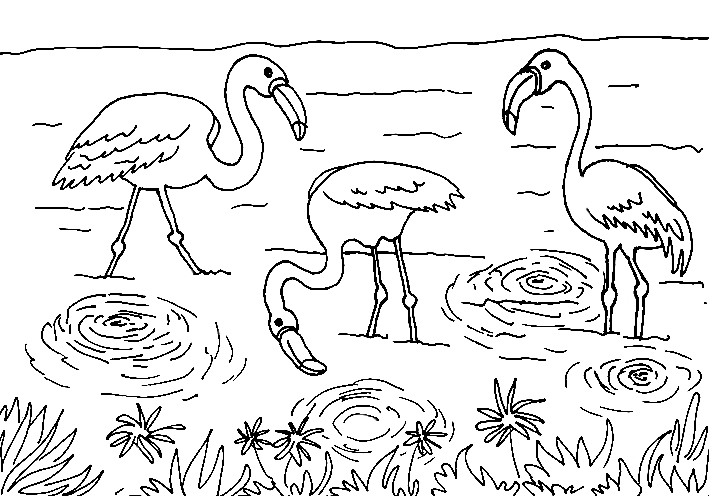 Autors: Aijas K. zīmējums