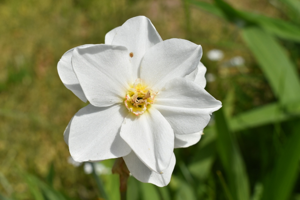 Autors: Ginta Grincēviča