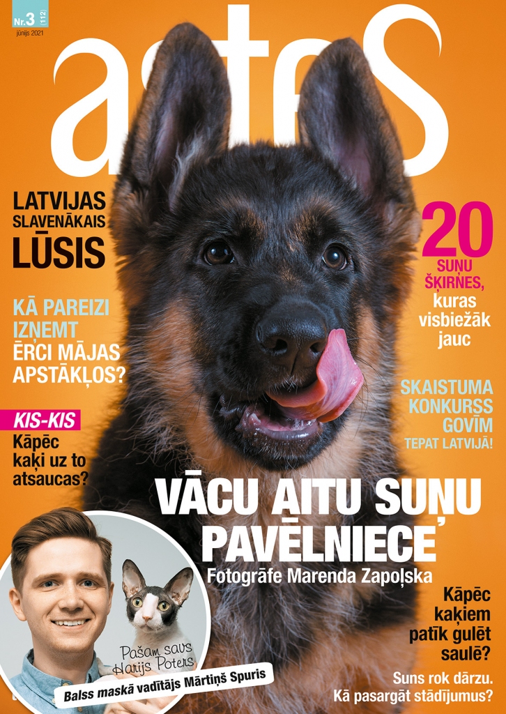 Aluksniesiem.lv raksta attēla aizvietotājs