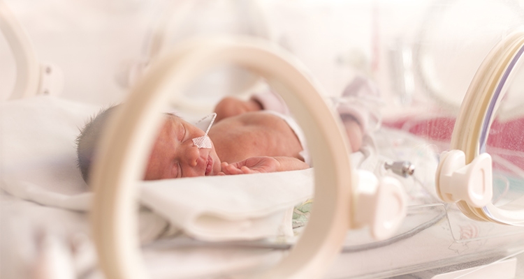 Ja mazulis nespēj uzņemt visu nepieciešamo uzturvielu apjomu tikai ar pienu, viņu baro, venozi ievadot nepieciešamās uzturvielas — taukus, olbaltumvielas un ogļhidrātus.
Autors: no Mybaba.com