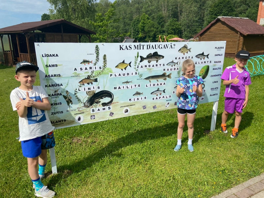 Aluksniesiem.lv raksta attēla aizvietotājs