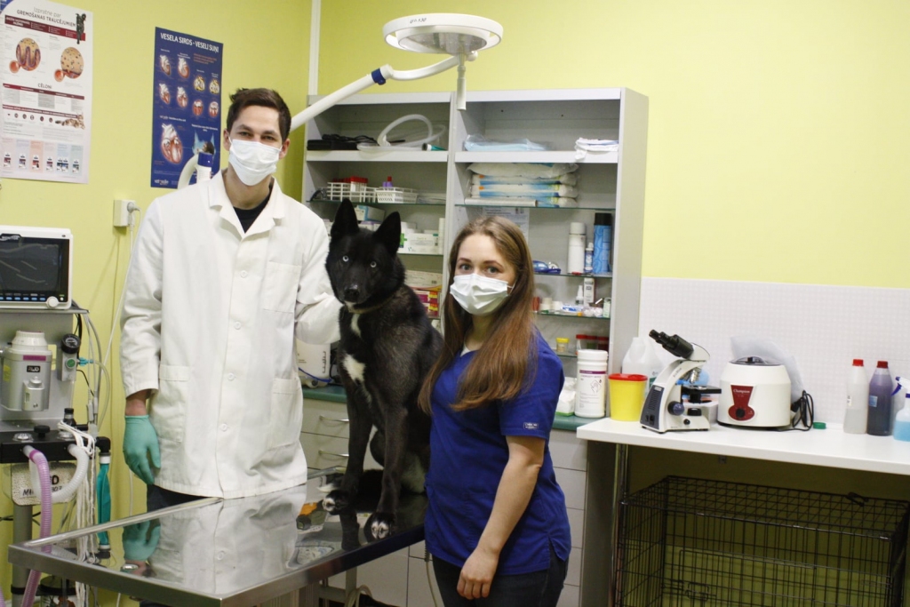 APRŪPĒ DAŽĀDUS DZĪVIEKUS. Madara un Miks Kaidaki savā veterinārajā klīnikā.
Autors: no personīgā albuma