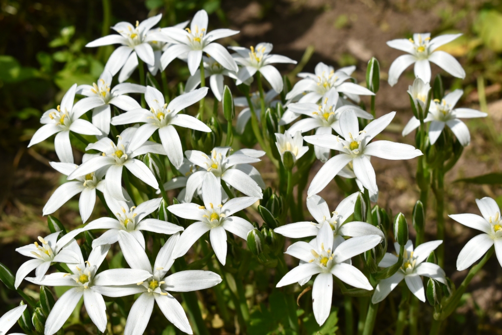 Autors: Ginta Grincēviča