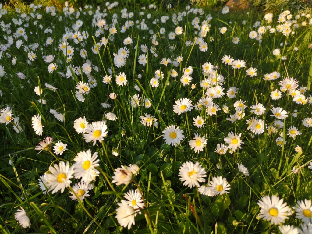 Autors: Imants Kaziļuns