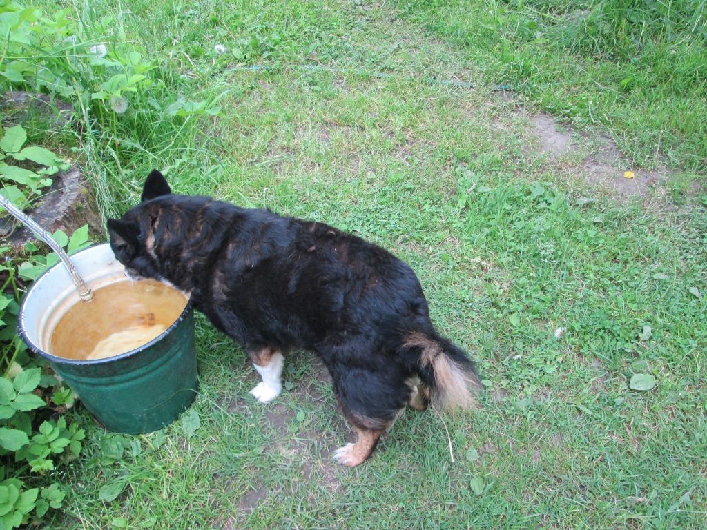 Autors: Ināra Sudare