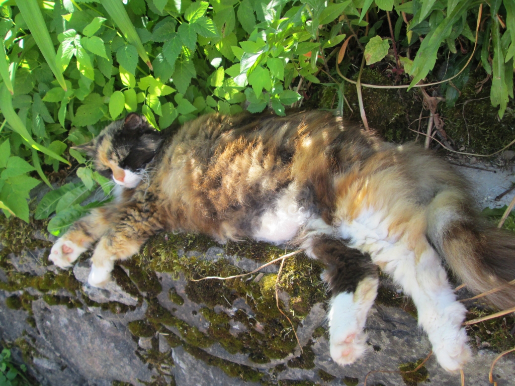 Autors: Ināra Sudare